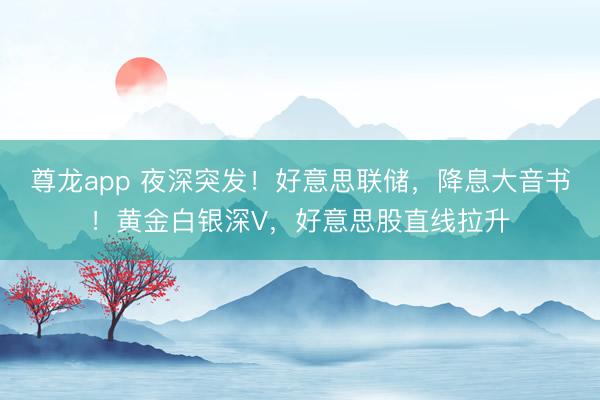尊龙app 夜深突发!好意思联储,降息大音书!黄金白银深V,好意思股直线拉升