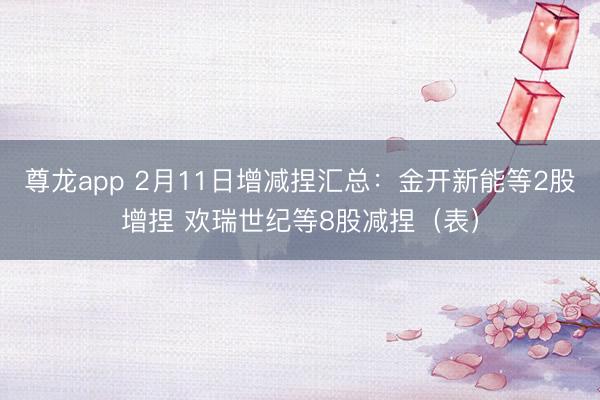 尊龙app 2月11日增减捏汇总:金开新能等2股增捏 欢瑞世纪等8股减捏(表)