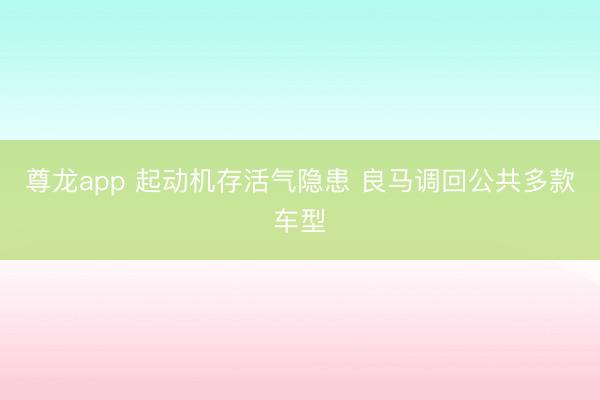尊龙app 起动机存活气隐患 良马调回公共多款车型