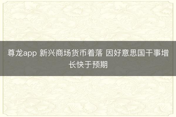 尊龙app 新兴商场货币着落 因好意思国干事增长快于预期