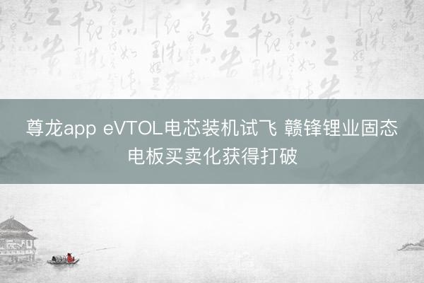 尊龙app eVTOL电芯装机试飞 赣锋锂业固态电板买卖化获得打破