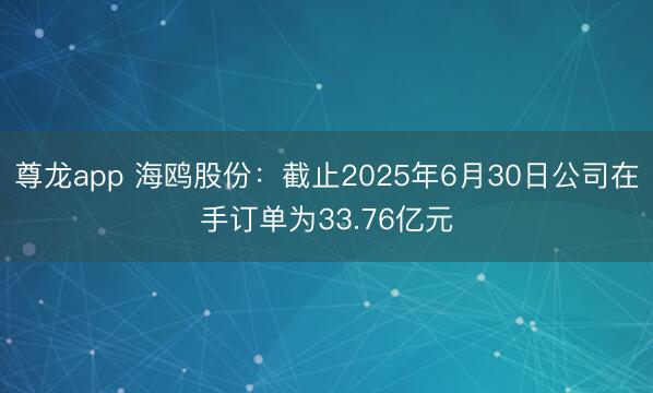 尊龙app 海鸥股份：截止2025年6月30日公司在手订单为33.76亿元