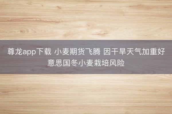 尊龙app下载 小麦期货飞腾 因干旱天气加重好意思国冬小麦栽培风险