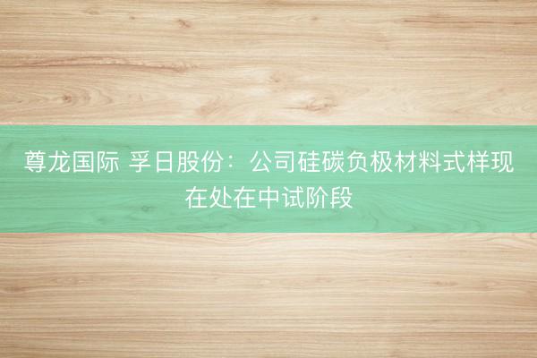 尊龙国际 孚日股份：公司硅碳负极材料式样现在处在中试阶段