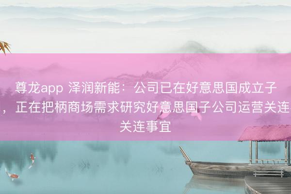 尊龙app 泽润新能:公司已在好意思国成立子公司,正在把柄商场需求研究好意思国子公司运营关连事宜
