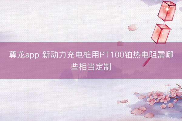 尊龙app 新动力充电桩用PT100铂热电阻需哪些相当定制