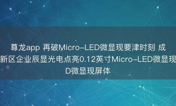 尊龙app 再破Micro-LED微显现要津时刻 成齐高新区企业辰显光电点亮0.12英寸Micro-LED微显现屏体