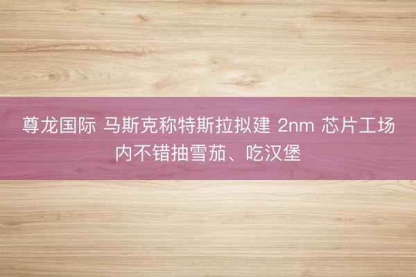 尊龙国际 马斯克称特斯拉拟建 2nm 芯片工场内不错抽雪茄、吃汉堡