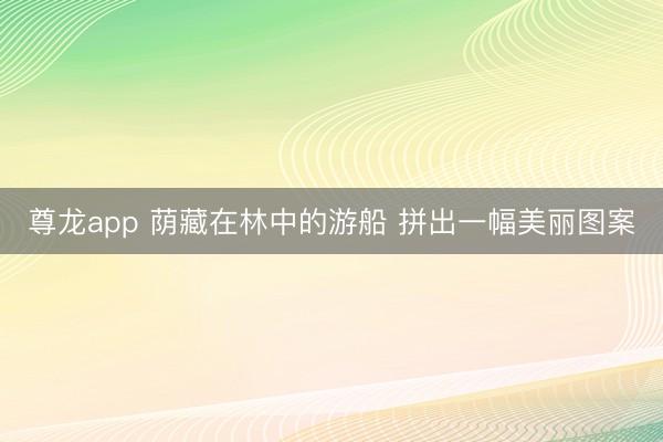 尊龙app 荫藏在林中的游船 拼出一幅美丽图案
