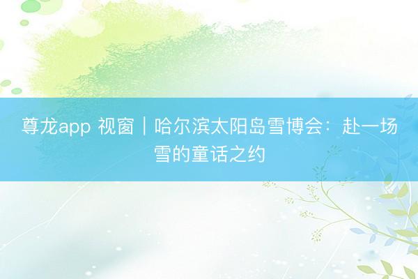 尊龙app 视窗｜哈尔滨太阳岛雪博会：赴一场雪的童话之约