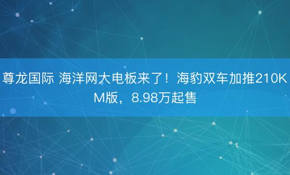 尊龙国际 海洋网大电板来了！海豹双车加推210KM版，8.98万起售