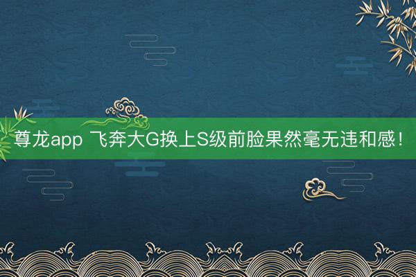 尊龙app 飞奔大G换上S级前脸果然毫无违和感！