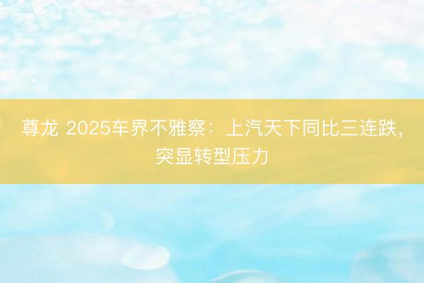 尊龙 2025车界不雅察:上汽天下同比三连跌,突显转型压力