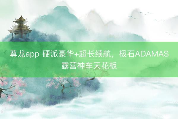 尊龙app 硬派豪华+超长续航，极石ADAMAS露营神车天花板