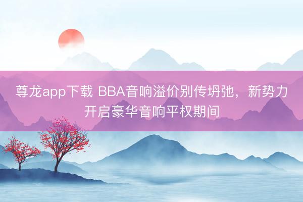 尊龙app下载 BBA音响溢价别传坍弛,新势力开启豪华音响平权期间