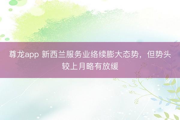 尊龙app 新西兰服务业络续膨大态势,但势头较上月略有放缓