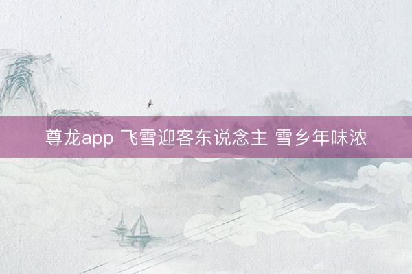 尊龙app 飞雪迎客东说念主 雪乡年味浓