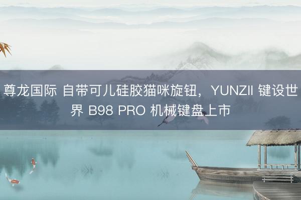 尊龙国际 自带可儿硅胶猫咪旋钮，YUNZII 键设世界 B98 PRO 机械键盘上市