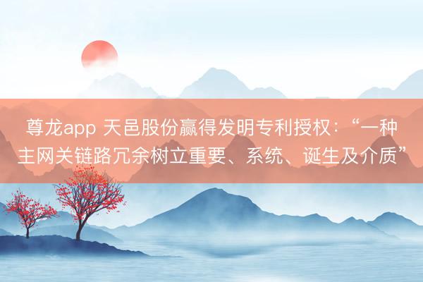 尊龙app 天邑股份赢得发明专利授权：“一种主网关链路冗余树立重要、系统、诞生及介质”