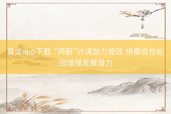 尊龙app下载 “两新”计谋加力提效 供需良性轮回增强发展潜力