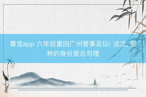尊龙app 六年后重回广州管事足坛! 这次, 郜林的身份是总司理