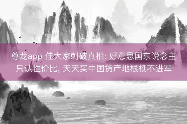 尊龙app 佳大家刺破真相: 好意思国东说念主只认性价比， 天天买中国货产地根柢不进军