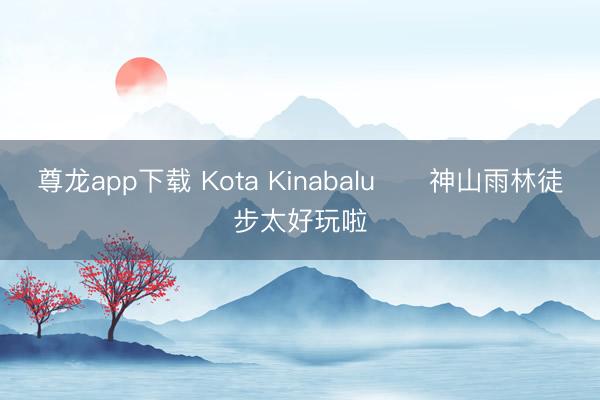 尊龙app下载 Kota Kinabalu⛰️神山雨林徒步太好玩啦