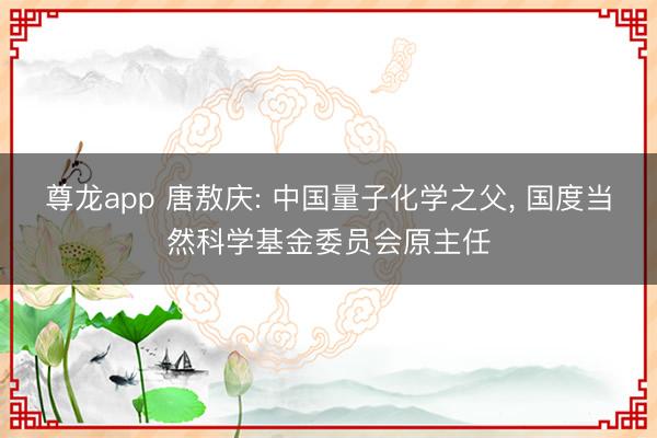 尊龙app 唐敖庆: 中国量子化学之父， 国度当然科学基金委员会原主任