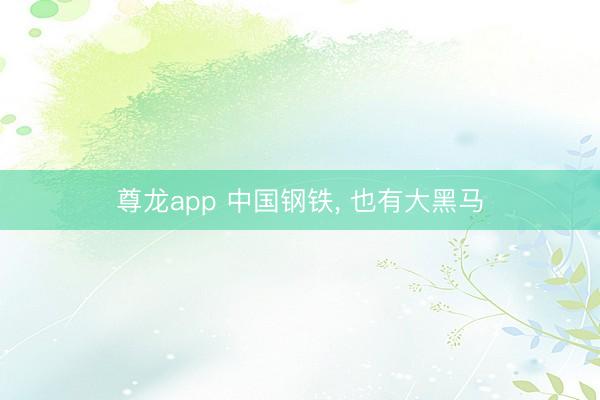 尊龙app 中国钢铁， 也有大黑马
