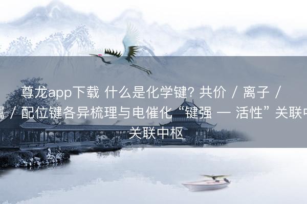尊龙app下载 什么是化学键? 共价 / 离子 / 金属 / 配位键各异梳理与电催化 “键强 — 活性” 关联中枢