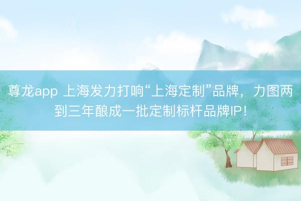 尊龙app 上海发力打响“上海定制”品牌，力图两到三年酿成一批定制标杆品牌IP！