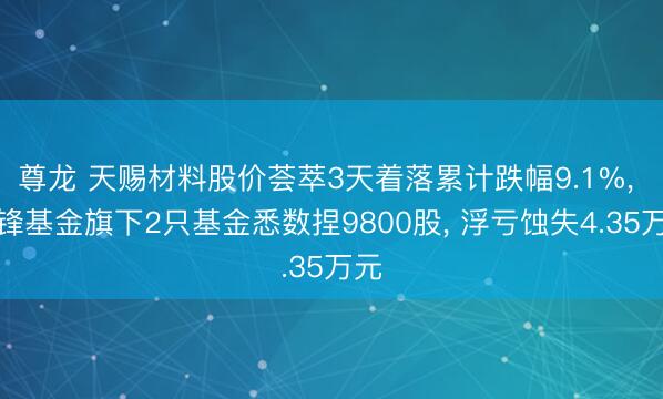 尊龙 天赐材料股价荟萃3天着落累计跌幅9.1%， 前锋基金旗下2只基金悉数捏9800股， 浮亏蚀失4.35万元