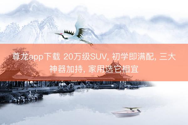 尊龙app下载 20万级SUV， 初学即满配， 三大神器加持， 家用选它相宜