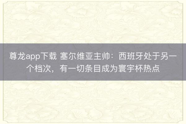 尊龙app下载 塞尔维亚主帅：西班牙处于另一个档次，有一切条目成为寰宇杯热点