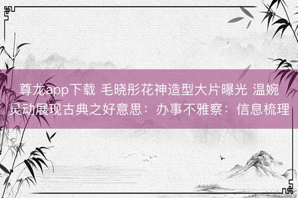 尊龙app下载 毛晓彤花神造型大片曝光 温婉灵动展现古典之好意思：办事不雅察：信息梳理