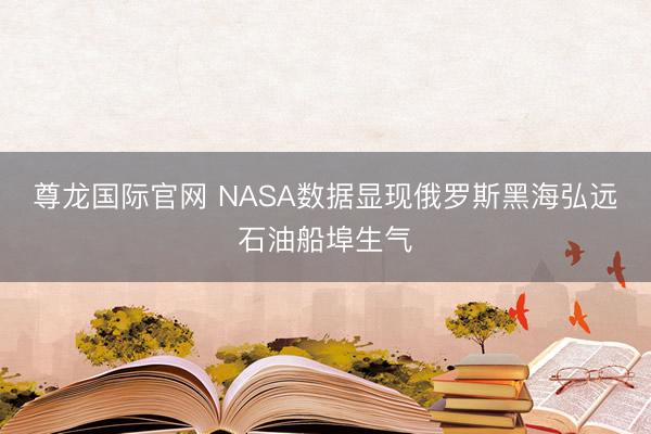 尊龙国际官网 NASA数据显现俄罗斯黑海弘远石油船埠生气