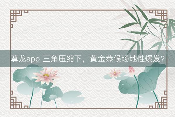 尊龙app 三角压缩下，黄金恭候场地性爆发？
