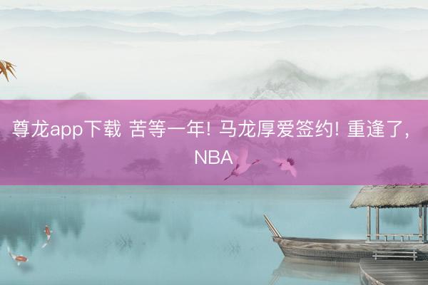 尊龙app下载 苦等一年! 马龙厚爱签约! 重逢了, NBA