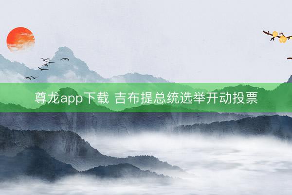 尊龙app下载 吉布提总统选举开动投票