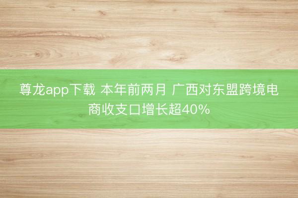 尊龙app下载 本年前两月 广西对东盟跨境电商收支口增长超40%