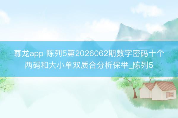 尊龙app 陈列5第2026062期数字密码十个两码和大小单双质合分析保举_陈列5