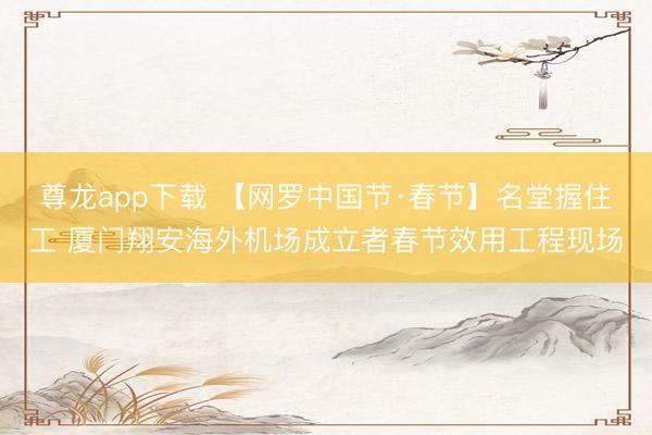 尊龙app下载 【网罗中国节·春节】名堂握住工 厦门翔安海外机场成立者春节效用工程现场