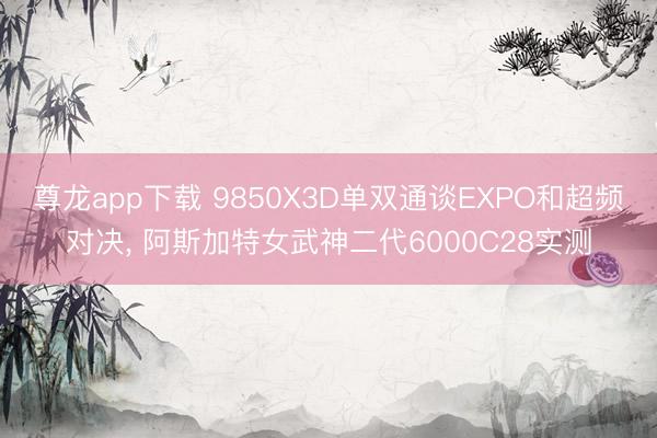 尊龙app下载 9850X3D单双通谈EXPO和超频对决， 阿斯加特女武神二代6000C28实测