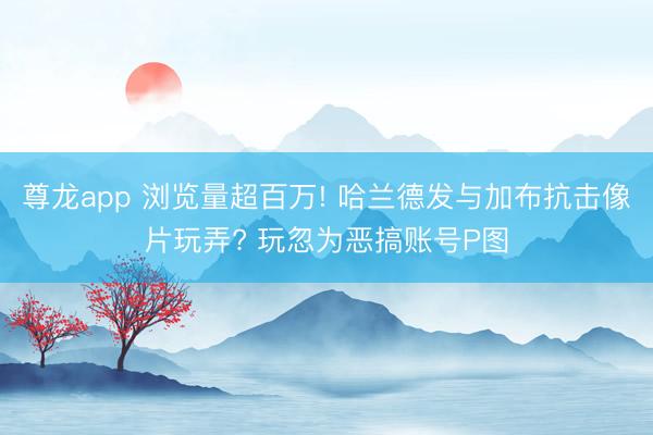 尊龙app 浏览量超百万! 哈兰德发与加布抗击像片玩弄? 玩忽为恶搞账号P图