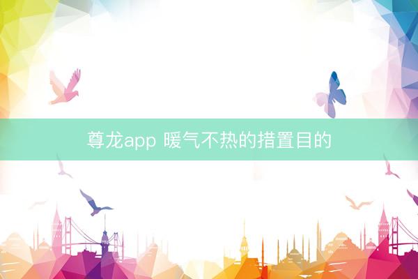 尊龙app 暖气不热的措置目的