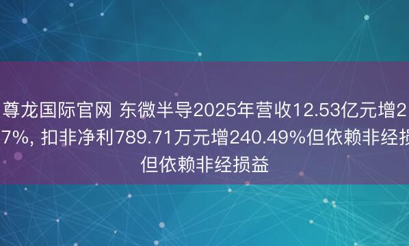 尊龙国际官网 东微半导2025年营收12.53亿元增24.87%， 扣非净利789.71万元增240.49%但依赖非经损益