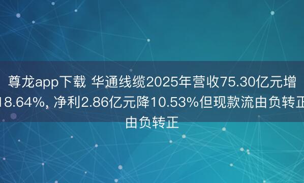 尊龙app下载 华通线缆2025年营收75.30亿元增18.64%， 净利2.86亿元降10.53%但现款流由负转正