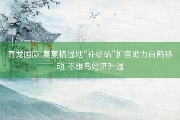 尊龙国际 莫莫格湿地“补给站”扩容助力白鹤移动 不雅鸟经济升温