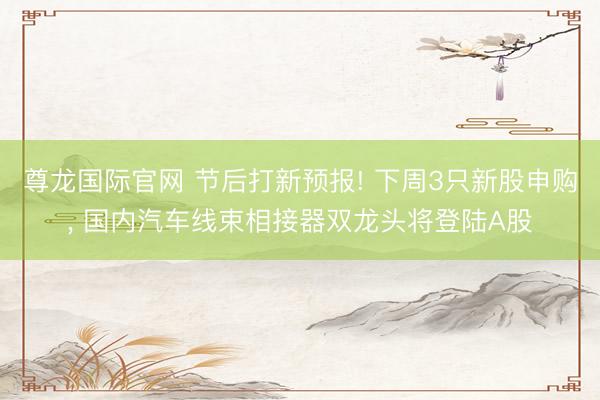 尊龙国际官网 节后打新预报! 下周3只新股申购， 国内汽车线束相接器双龙头将登陆A股