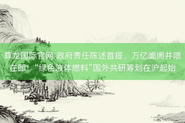 尊龙国际官网 政府责任陈述首提、万亿阛阓井喷在即！“绿色液体燃料”国外共研筹划在沪起始